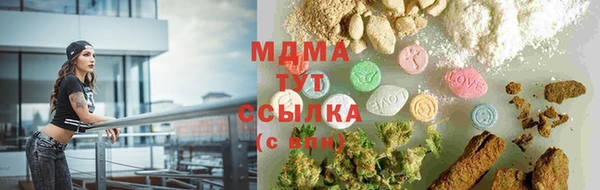 spice Богородицк
