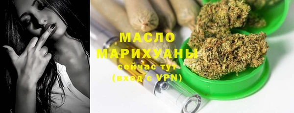 spice Богородицк