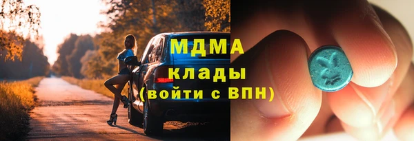 spice Богородицк