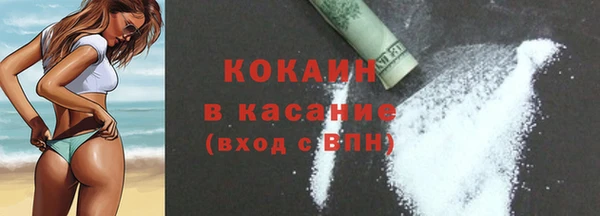 spice Богородицк