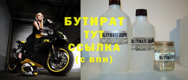 spice Богородицк