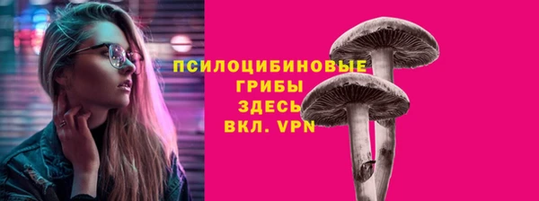 Альфа ПВП Богданович