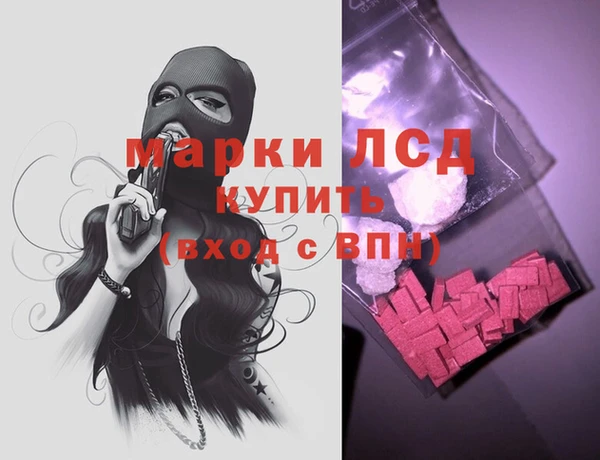 spice Богородицк