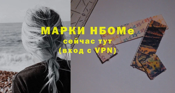 spice Богородицк
